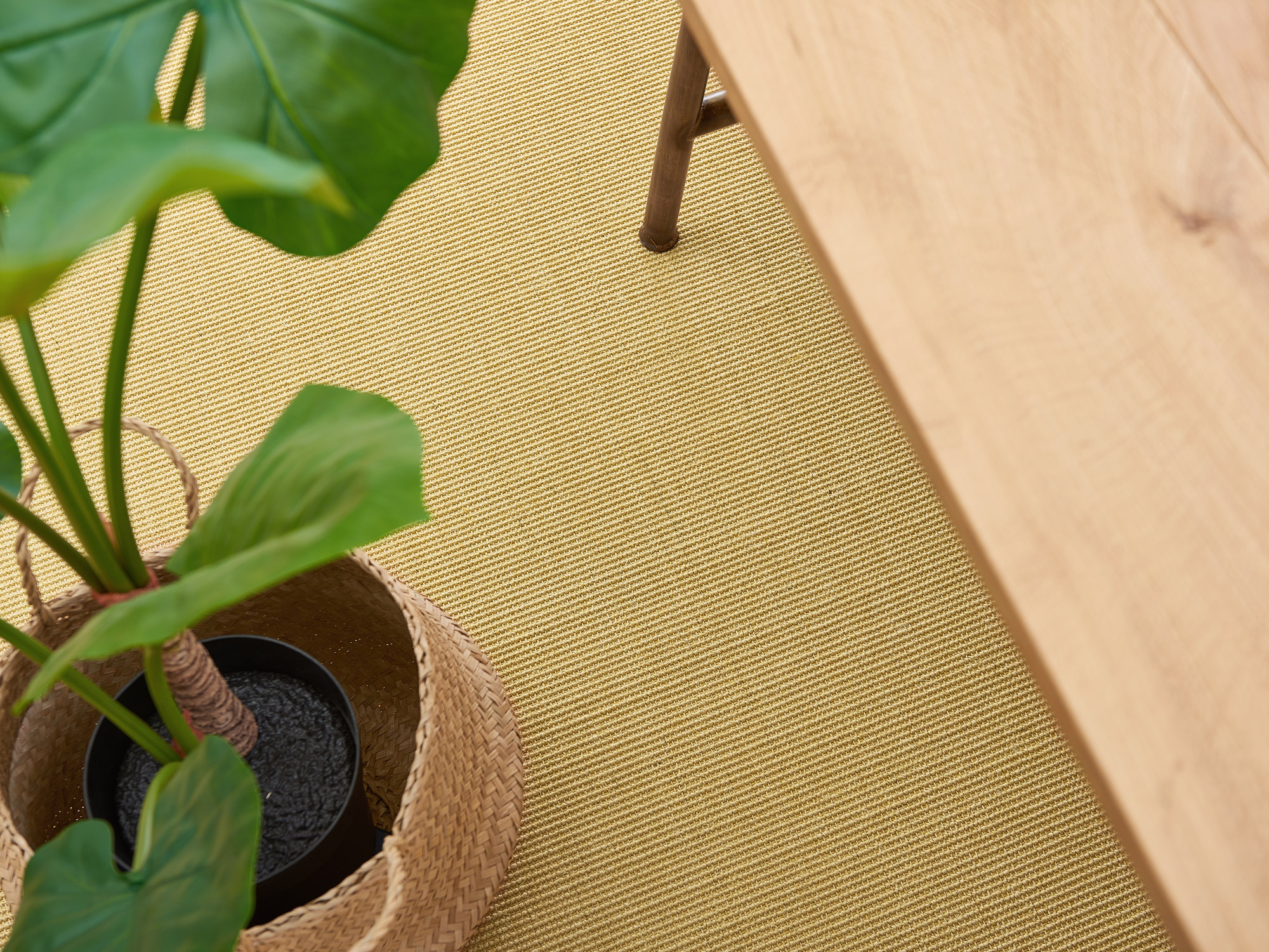 Beiger Sisalteppich Murcia im Wohnzimmer mit Holztisch und großer Grünpflanze im Korb – natürliche Wohnatmosphäre