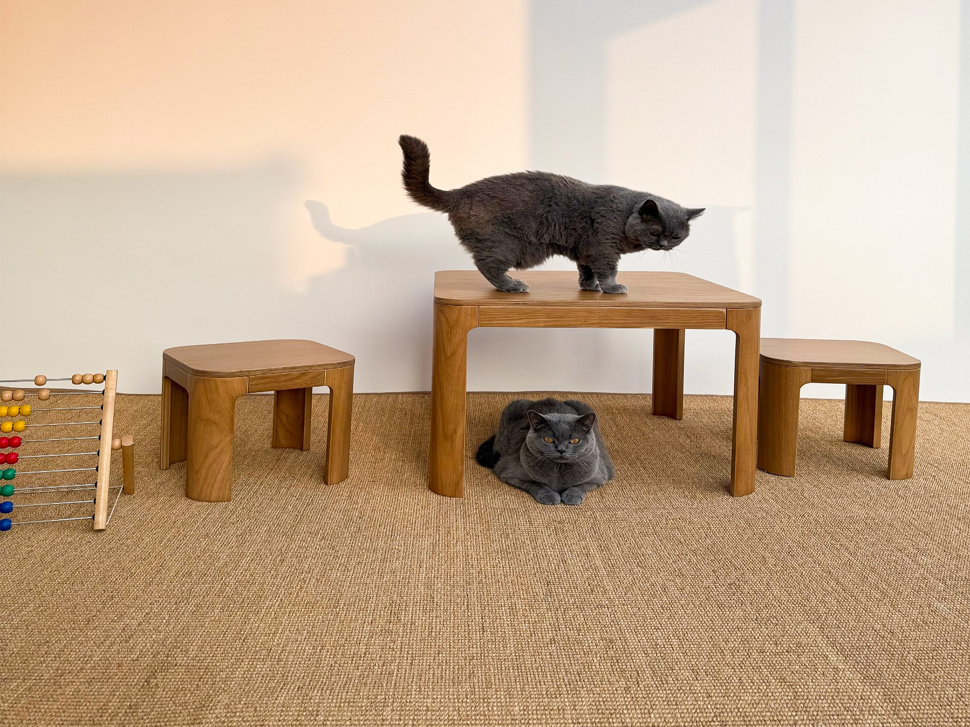 Zwei graue Katzen auf einem beigen Sisalteppich Murcia in rechteckiger Form, mit Holztisch und Hockern in natürlichem Licht