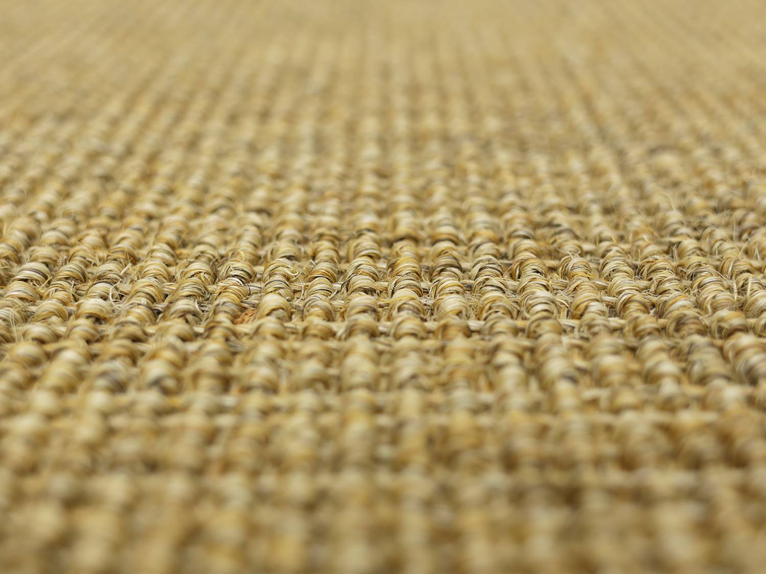 Sisalteppiche Salsa Sisal Paspelteppich Sonderform nach Schablone in honig zeigt eine feine, strukturierte Oberfläche in warmen Honigtönen.