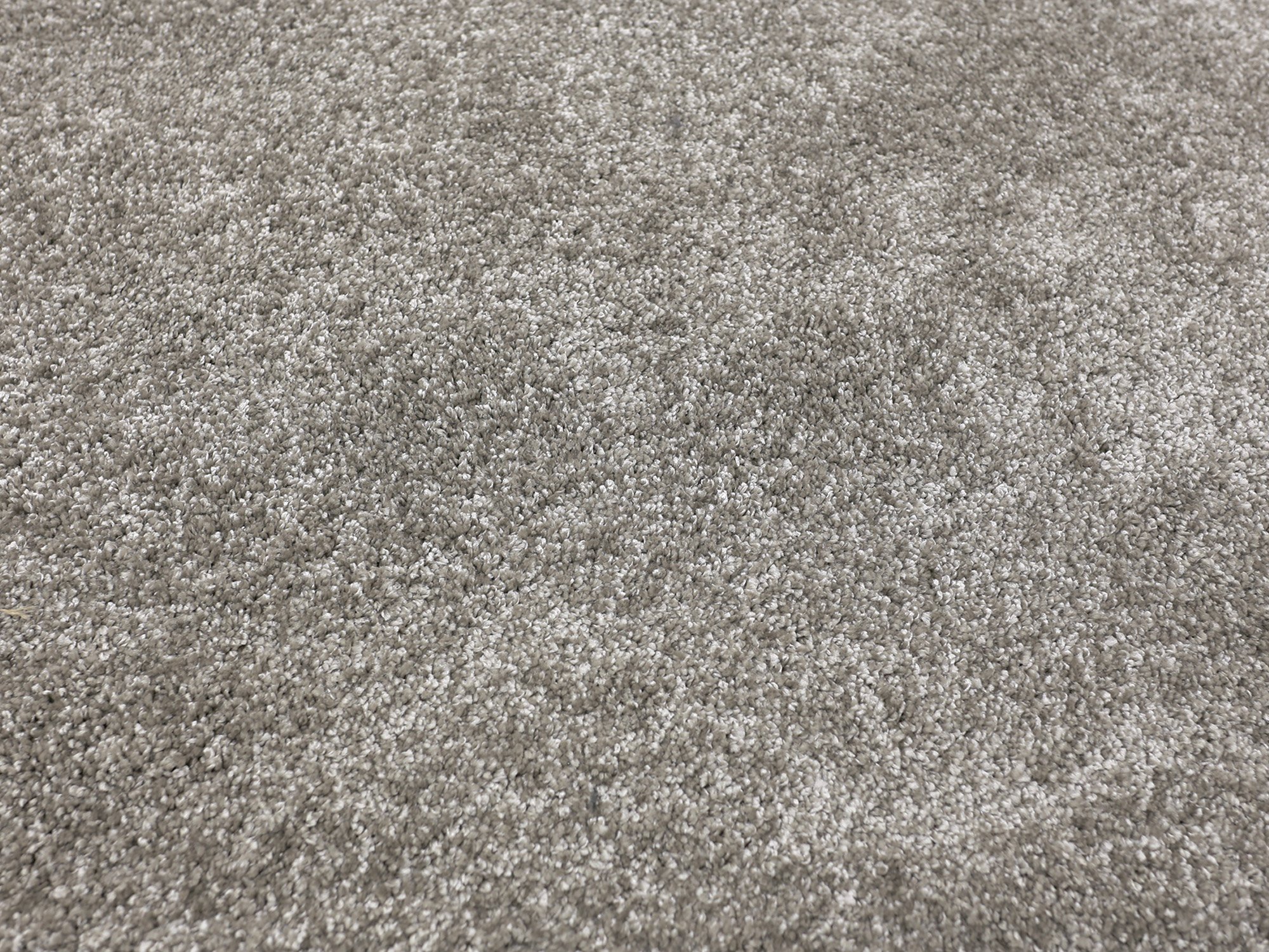 Liora Hochflorteppich